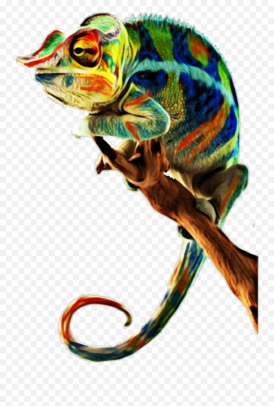 Screptiles Reptiles Chameleon Sticker - Ambanja Panther Chameleon Emoji,Chameleon Emoji