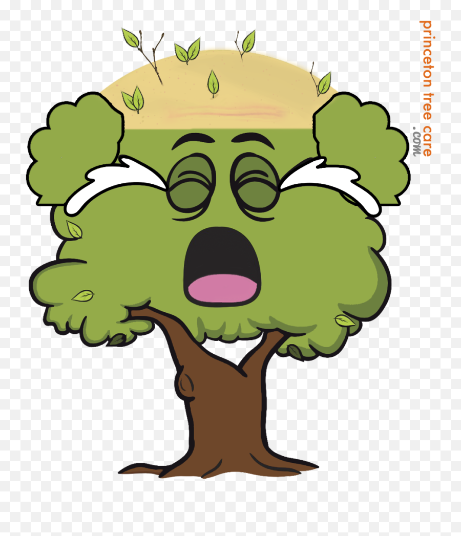 Download Tree Topping - Tree Crying Emoji,Trees Emoji