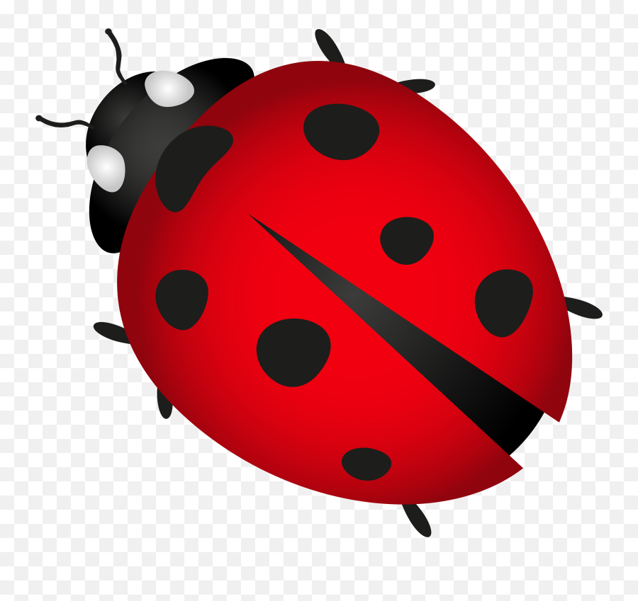 Drawing Bugs Ladybug Transparent Png Clipart Free Download - Ladybug Png Emoji,Ladybug Emoji