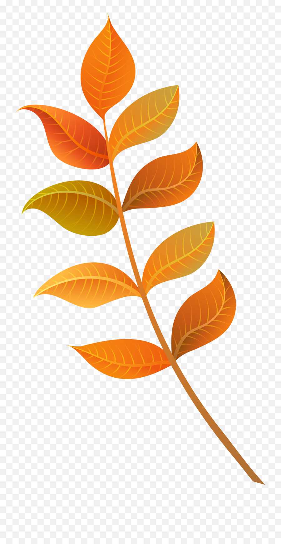 10 Leaf Clipart Decorative Pics To Free Download On Animal Maker - Leaves Clipart Transparent Background Emoji,Autumn Leaves Emoji