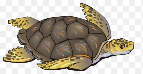 Sea Turtle Clip Art Free Clipart Images - Turtle Cliparts Emoji,Sea Turtle Emoji