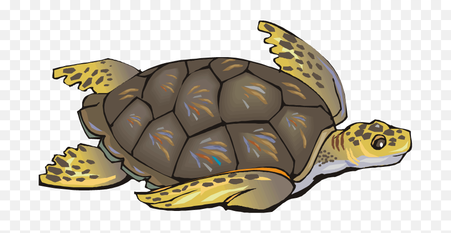 Sea Turtle Clip Art Free Clipart Images - Turtle Cliparts Emoji,Sea Turtle Emoji
