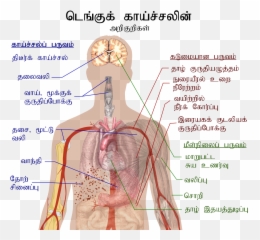 Dengue Symptoms In Tamil Emoji,Emoji Meanings