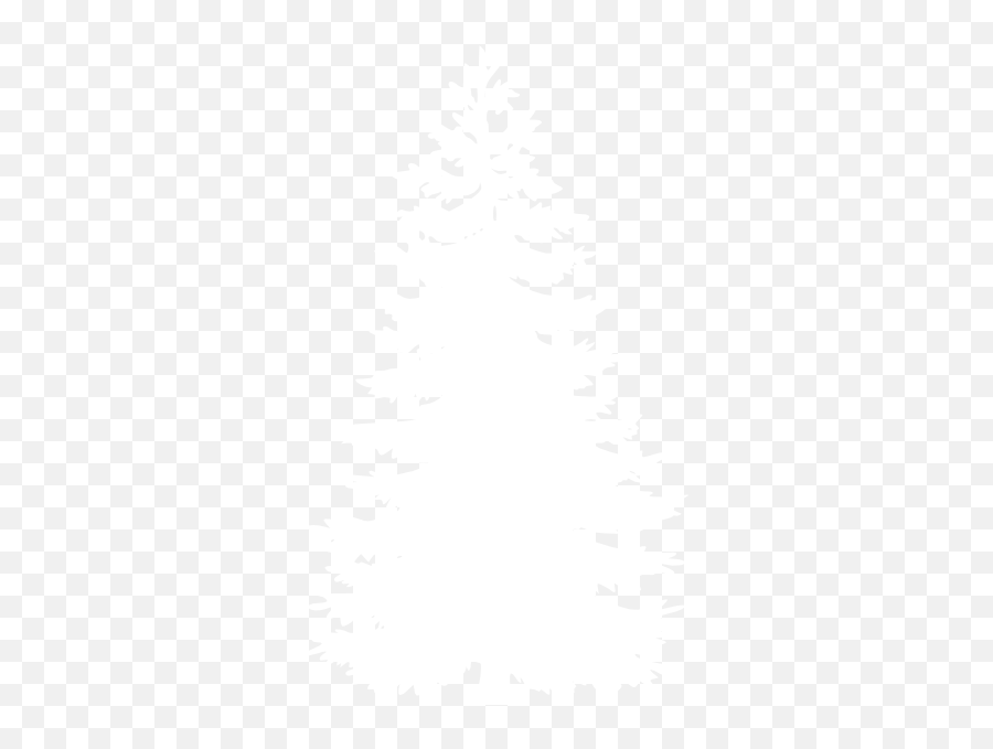 White Pine Tree Clipart Png - White Pine Tree Clipart Emoji,Pine Tree Emoji