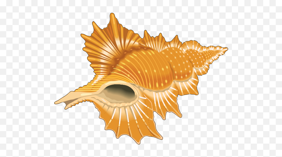 Cartoon Clipart Seashell Cartoon Vector - Illustration Emoji,Seashell Emoji