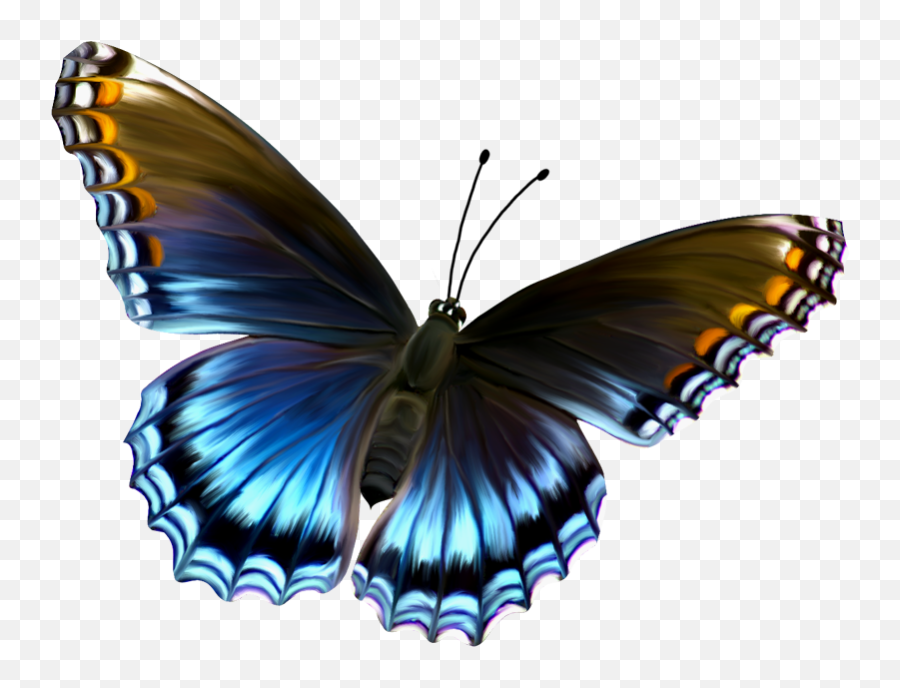 Beautiful Clipart Blue Butterfly Beautiful Blue Butterfly - Butterfly Image Hd Download Emoji,Blue Butterfly Emoji