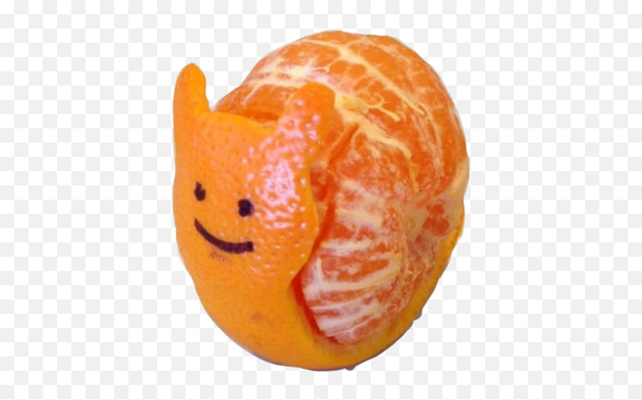 Popular And Trending Tangerine Stickers - Snail Mandarin Transparent Emoji,Tangerine Emoji