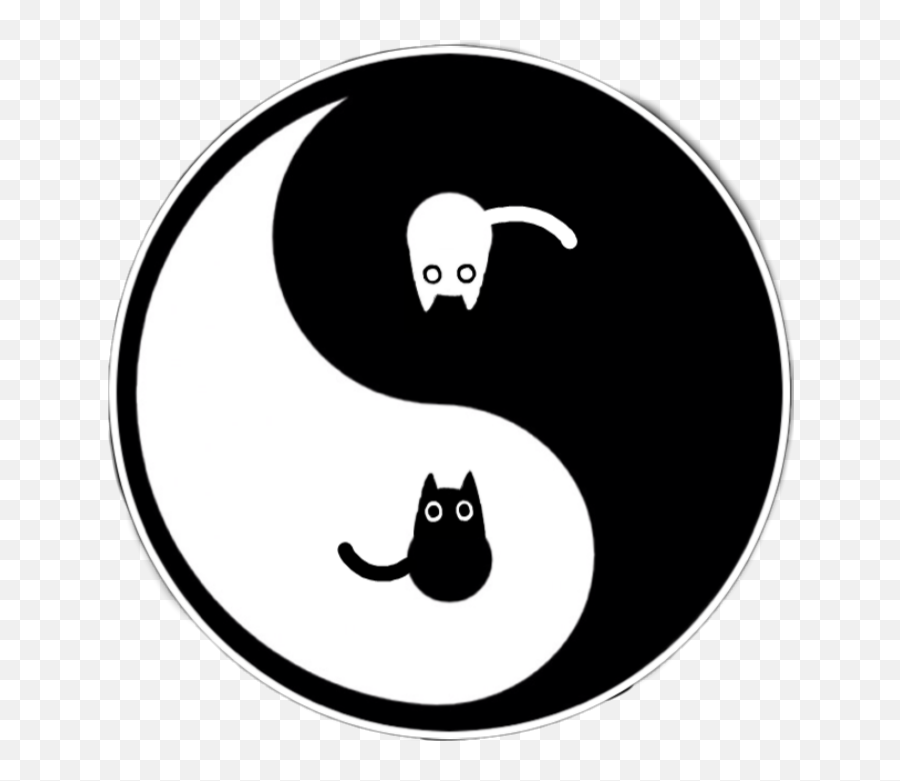 Yingyang Yin Yang Yinandyang Yin Yinyang Cat Cats Cute - Yin Yang Icon Emoji,Yin Yang Emoji