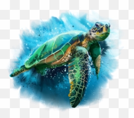 Turtle Sticker Challenge - Sea Turtle Drawing Watercolor Emoji,Sea Turtle Emoji