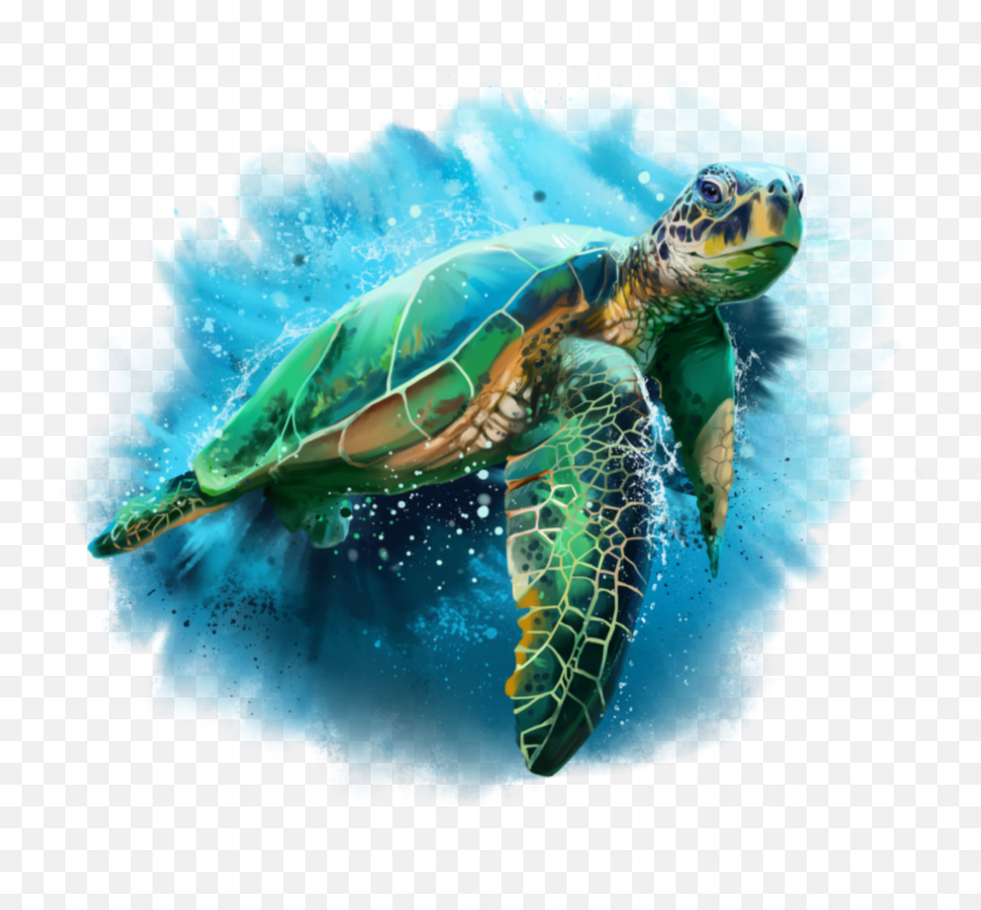 Turtle Sticker Challenge - Sea Turtle Drawing Watercolor Emoji,Sea Turtle Emoji