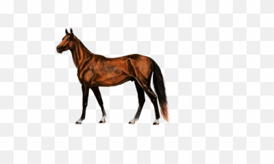Painting Digital Artwork Horse - Silhouette Clip Emoji