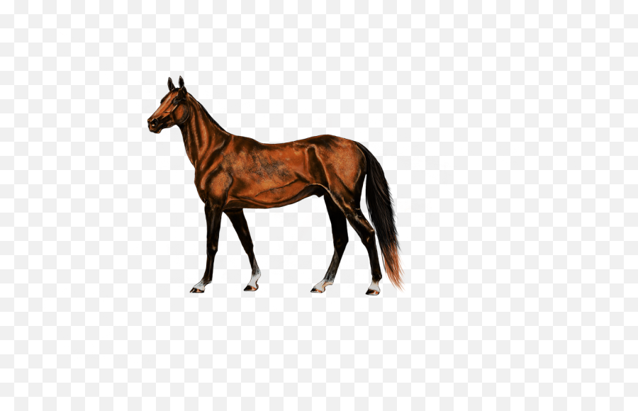 Painting Digital Artwork Horse Art - Horse Silhouette Clip Art Emoji,Hand Horse Horse Emoji
