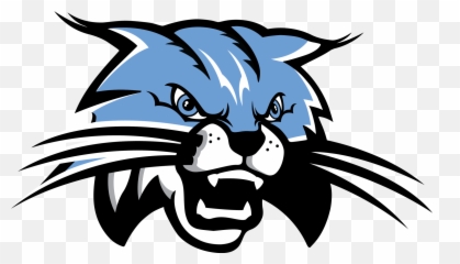 Schools Patrons To Vote On Summerland - Summerland Bobcats Emoji,Lewd Emoticons