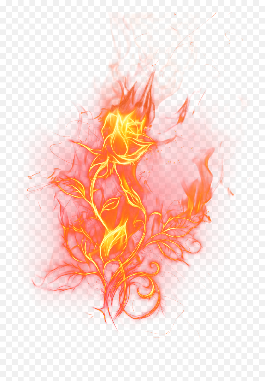 Transparent Fire Rose Png Clipart Picture - Fire Rose Red Fire Transparent Emoji,Campfire Emoji