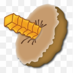 Devo by Emoji Fame Moji Mojo Ltd - Dessert