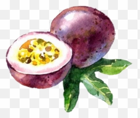 The Most Edited - Fruit Passion Aquarelle Emoji