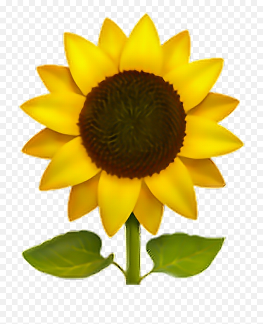 Sunflower Sun Flower Emoji Emotico - Iphone Sunflower Emoji Png,Sunflower Emoji Png