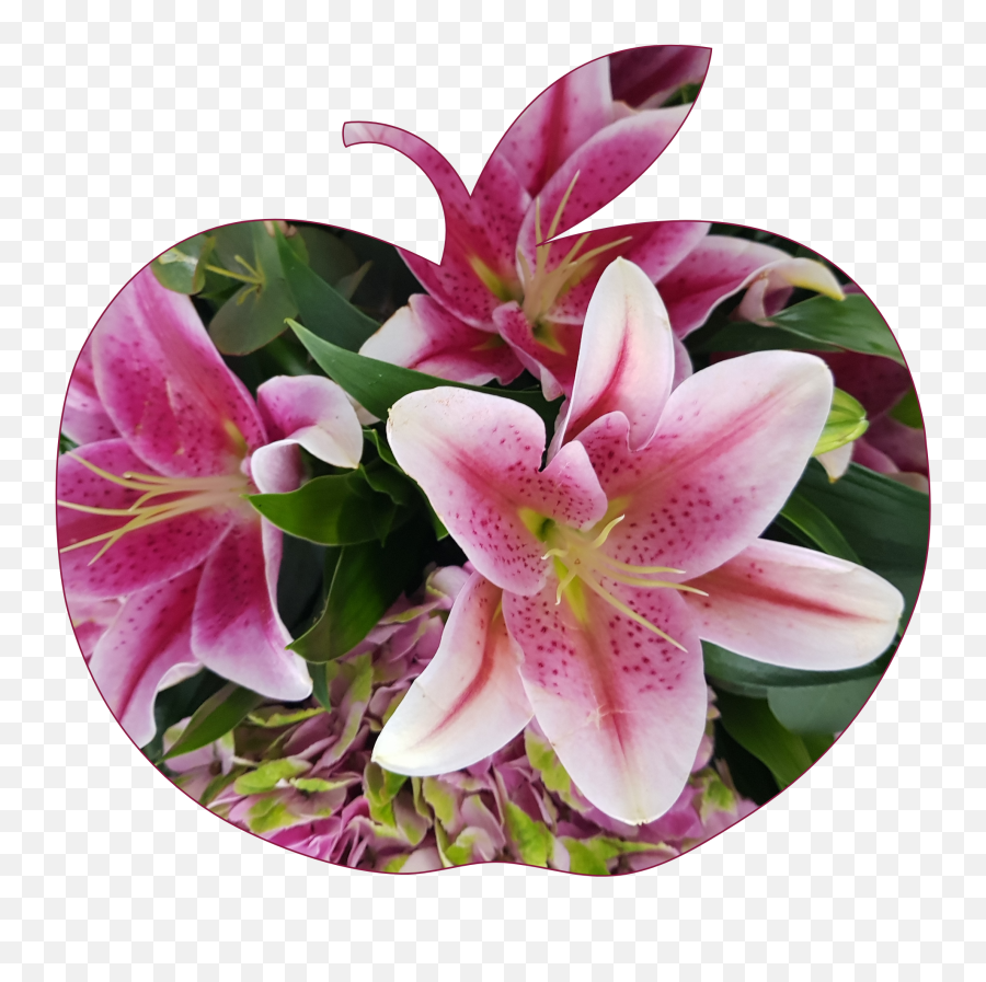Apple Flower Flowers Pink Lilly Stargazer Lily Emoji Lily Flower Emoji Free Transparent Emoji Emojipng Com