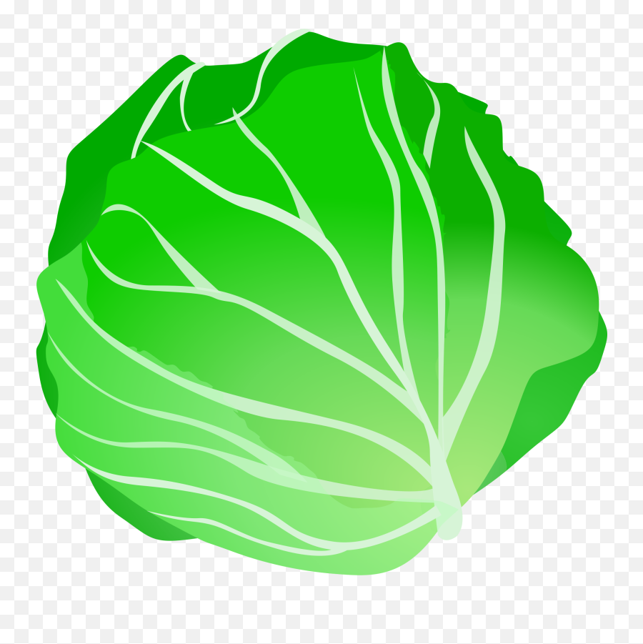 Lettuce Clip Art Clipartall Free Clipart - Cabbage Clipart Emoji,Lettuce Emoji