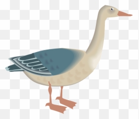 Goose Bird White Blue Feathers - Angsa Png Emoji,Chicken Wings Emoji