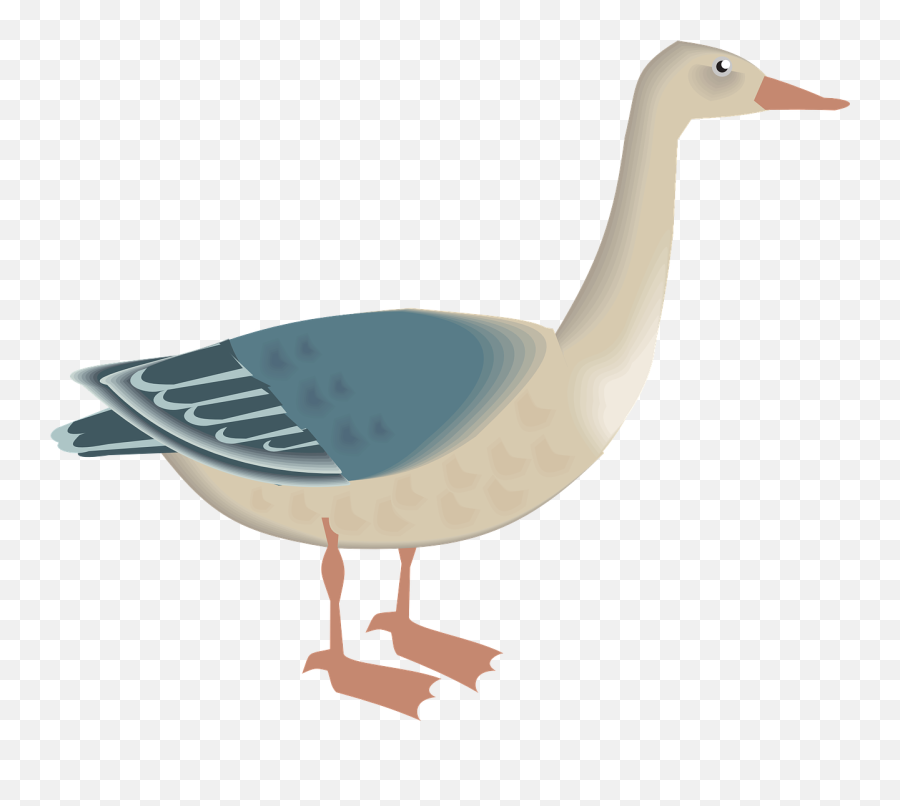 Goose Bird White Blue Feathers - Angsa Png Emoji,Chicken Wings Emoji