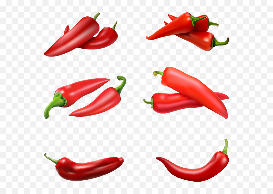 chili vector png