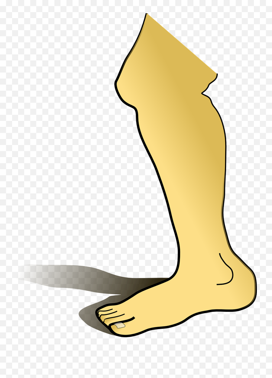 Leg Shin Foot Knee Toes - Clipart Leg Emoji,Broken Leg Emoji