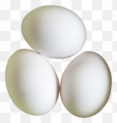 Egg White - Transparent Background Eggs Png Emoji