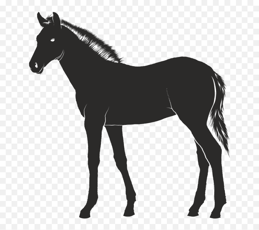 Foal Horse Young - Horse Icon Free Emoji,Hand Horse Horse Emoji
