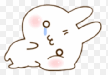 Conejo Blanco Cute Kawaii Rabbit Bunny - Illustration Emoji,Bunny Emoji Text Symbol