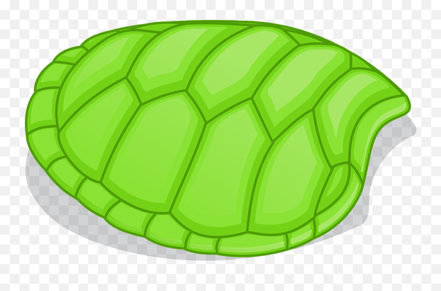 Tortoise Color Png U0026 Free Tortoise Colorpng Transparent - Turtle Shell Clipart Emoji,Tortoise Emoji