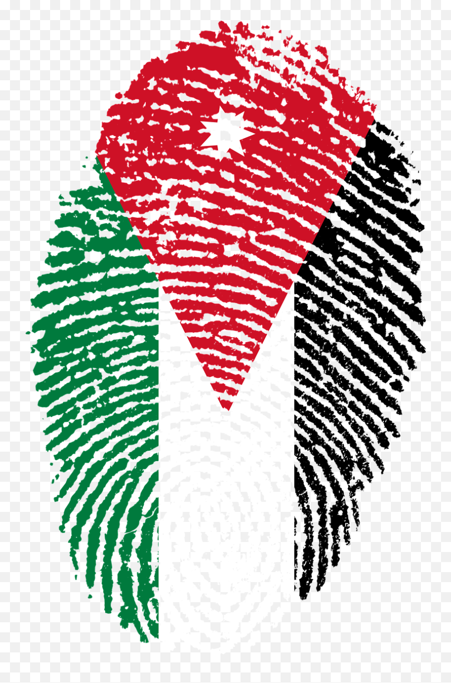 Jordan Flag Fingerprint Country Pride - Indonesia Flag Fingerprint Png Emoji,Pride Flag Emojis