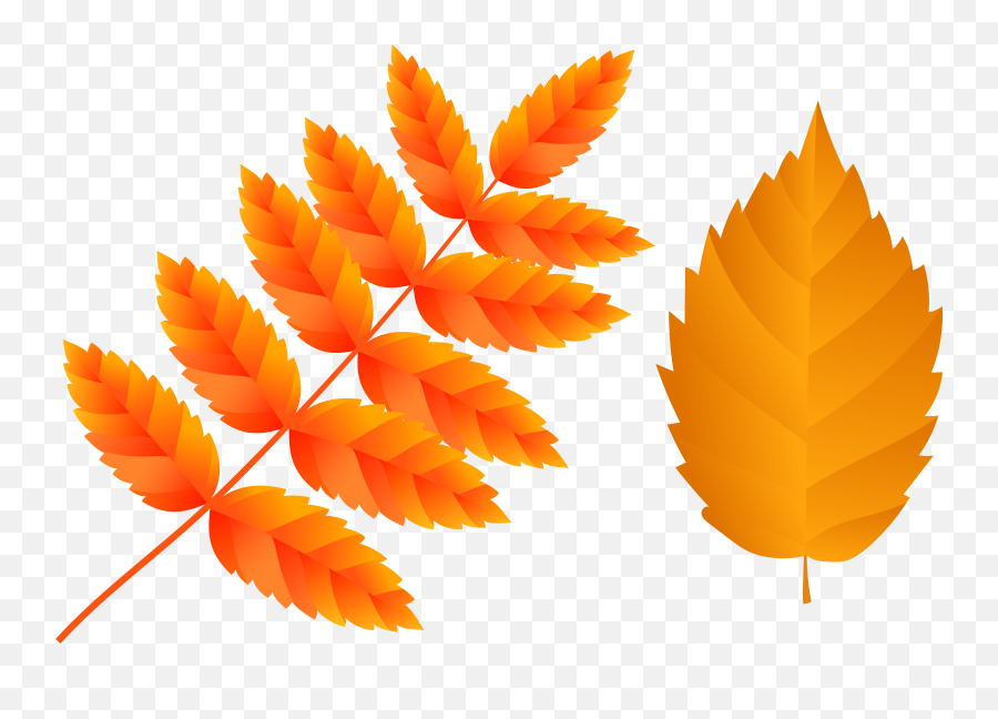 Orange Fall Leaves Clipart - Orange Leaves Png Emoji,Autumn Leaves Emoji