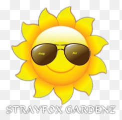 Strayfox - Sun Png Transparent Background Emoji,Fox Emoticon