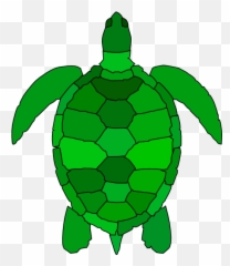 Free Cartoon Turtle Png Download Free - Green Sea Turtle Clipart Emoji,Sea Turtle Emoji