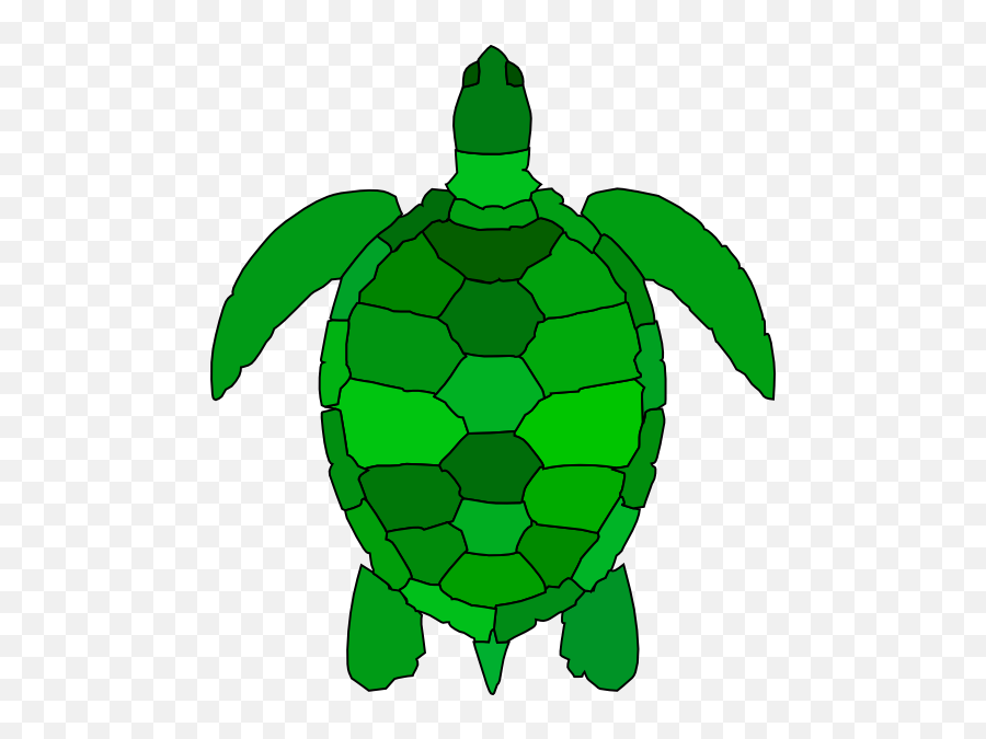 Free Cartoon Turtle Png Download Free - Green Sea Turtle Clipart Emoji,Sea Turtle Emoji