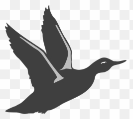 Duck Bird Flying Wings Animal - Flying Duck Silhouette Svg Emoji,Chicken Wings Emoji