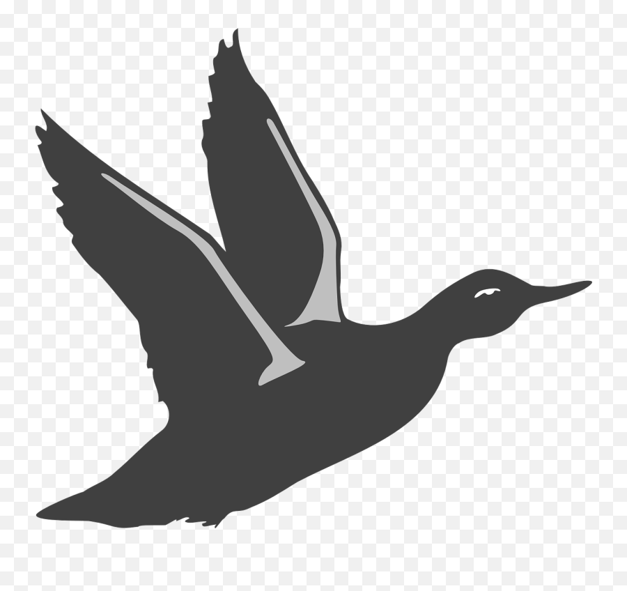 Duck Bird Flying Wings Animal - Flying Duck Silhouette Svg Emoji,Chicken Wings Emoji