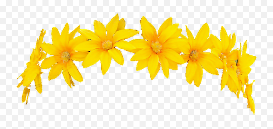 Snapchat Filter Flowercrown Character - Yellow Flower Crown Transparent Emoji,Snapchat Custom Emoji