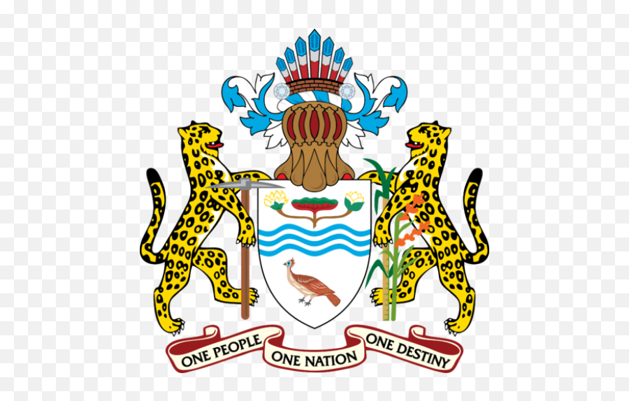 Search For Symbols Bird - National Coat Of Arms Of Guyana Emoji,Guyana Flag Emoji