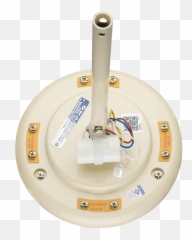 Bajaj Regal Gold 1200 Mm Ivory Ceiling Fan Shop Online - Circle Emoji,Sweep Emoji