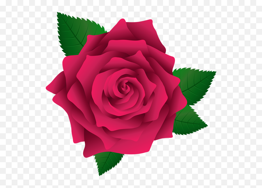 Pin - Rose Flower Vector Png Emoji,Pink Rose Emoji