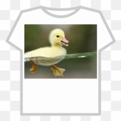 Baby Duck - T Shirt Black Goku Roblox Emoji