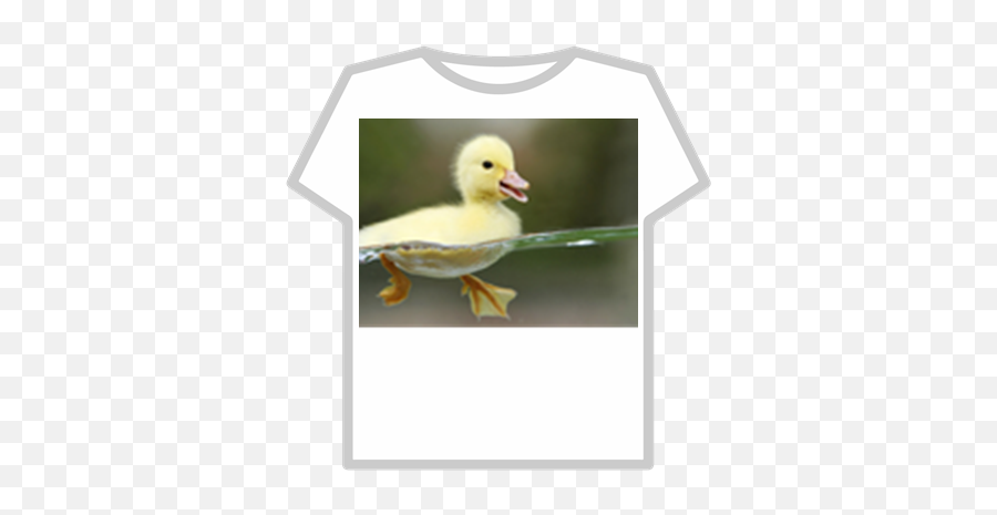 roblox shirt duck