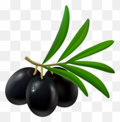 Black Olives Png - Olives Clipart Black And White Emoji,Plant Emoji