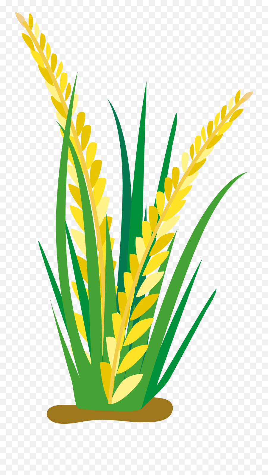 Rice Png Cooked Rice Fried Single Rice Clipart Images - Rice Plant Vector Png Emoji,Rice Emoji