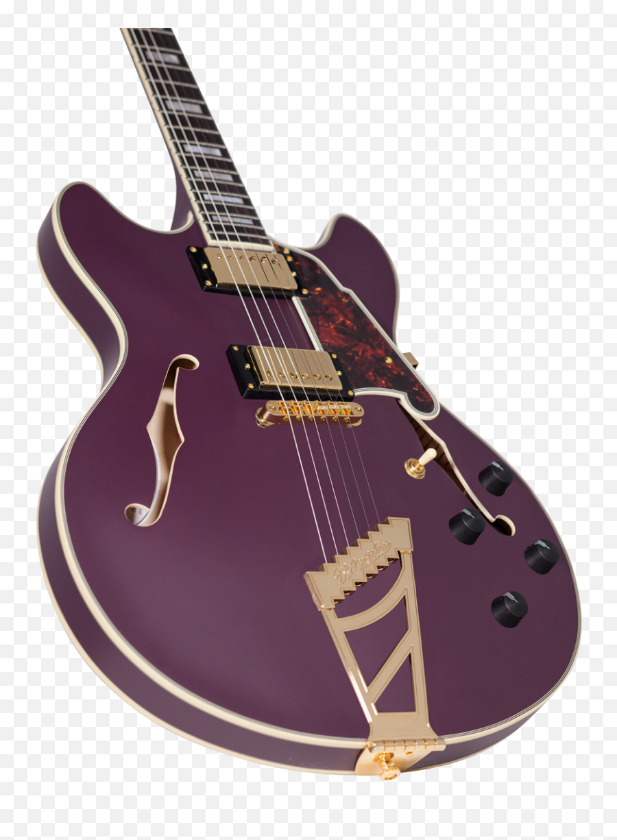 Guitars Archives - Austin Guitars Dangelico Premier Exl 1 Emoji,Emoji Guitar