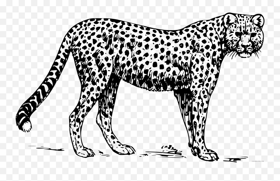 Cheetah Coloring Pages Papapishu - Jaguar Clip Art Black And White Emoji,Cheetah Emoji
