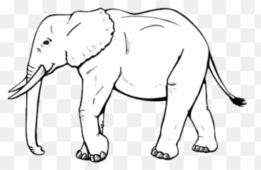 Top Fourth Of July Stickers for Android u0026 iOS Gfycat - Rabbits Elephants Gif Emoji