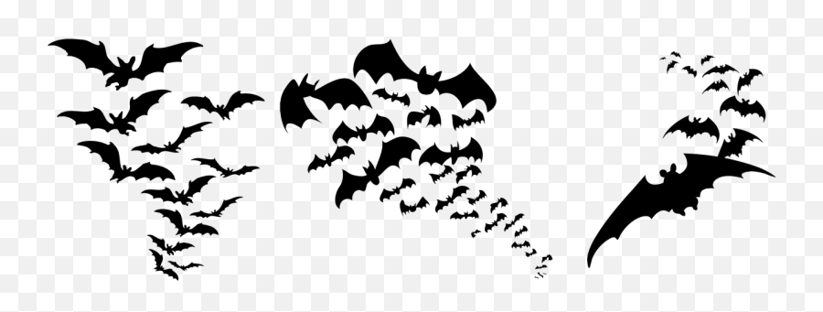Bat Silhouette Isolated Halloween Weird - Halloween Clipart Transparent Background Emoji,Ping Pong Emoji